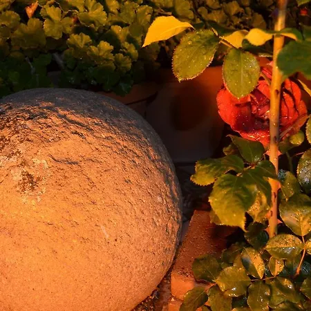 Erciyes Stone