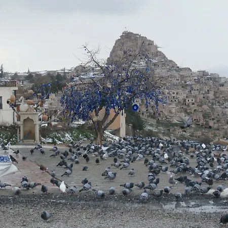 Erciyes Stone 招待所 乌奇希萨尔