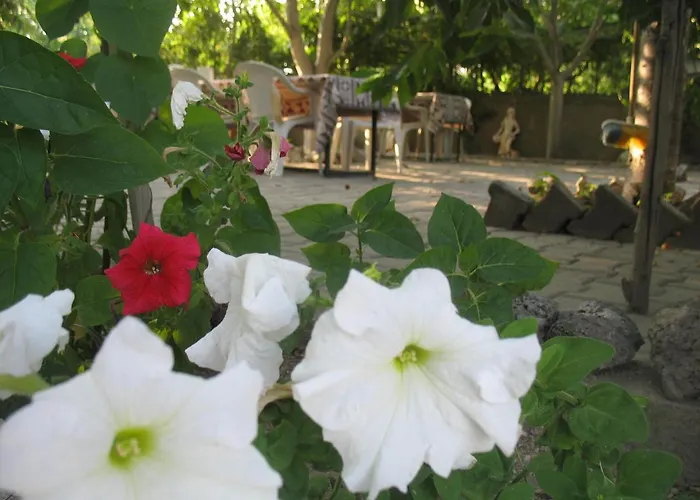 Erciyes Stone Gasthuis