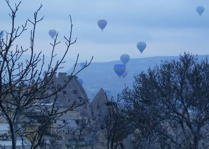 Gasthuis Erciyes Stone *