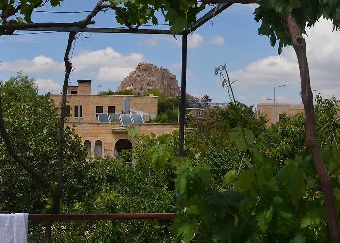 Erciyes Stone Gasthuis *