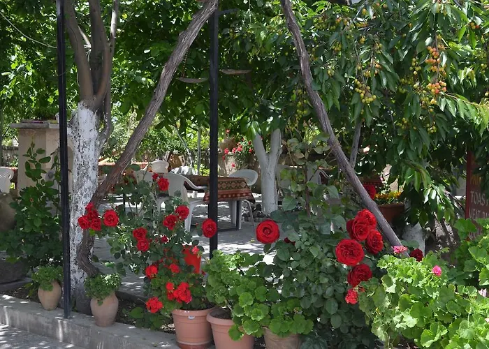 Erciyes Stone * Üçhisar