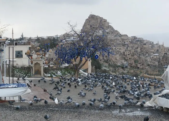 Erciyes Stone Gasthuis Üçhisar