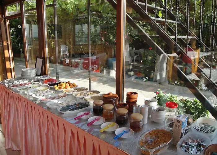 Gasthuis Erciyes Stone *